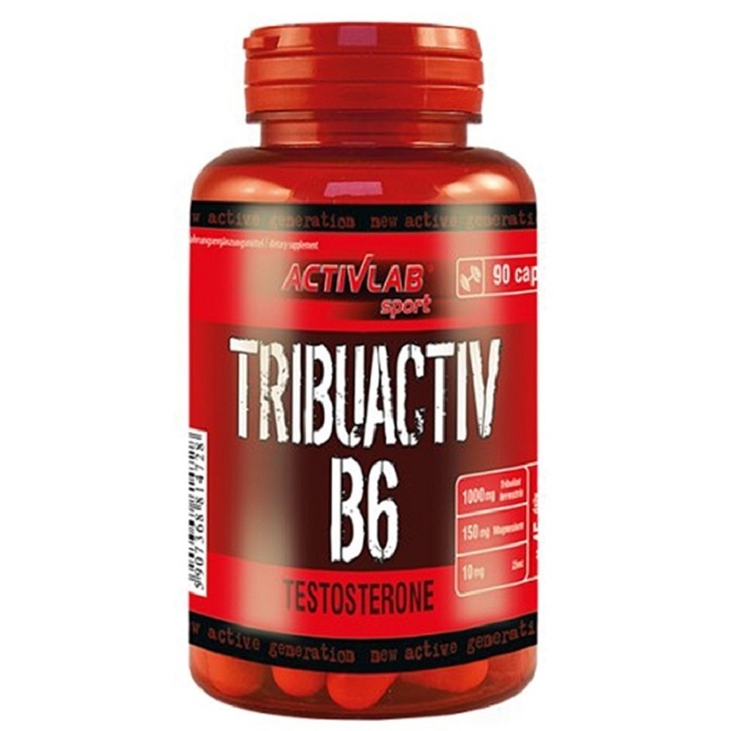 ACTIVLAB Tribuactive B6 90 kaps.