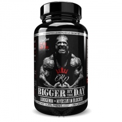 5% Nutrition Bigger By The Day 90 kaps.