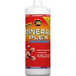 ALL STARS Mineral Plex 1 l