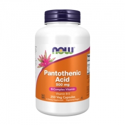 NOW Foods Pantothenic Acid 500mg 250 caps